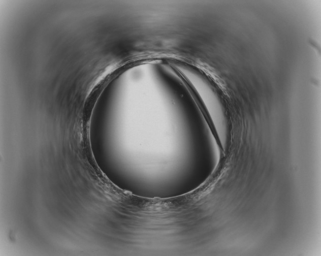 X0000091541165200708171237