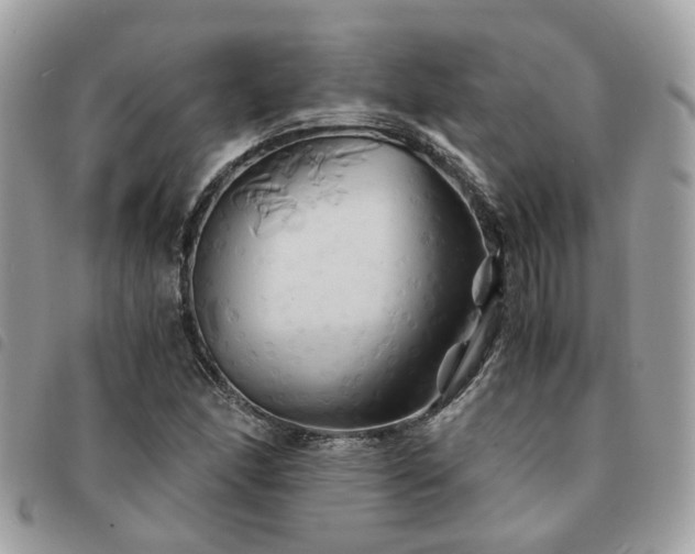 X0000091541166200708171237