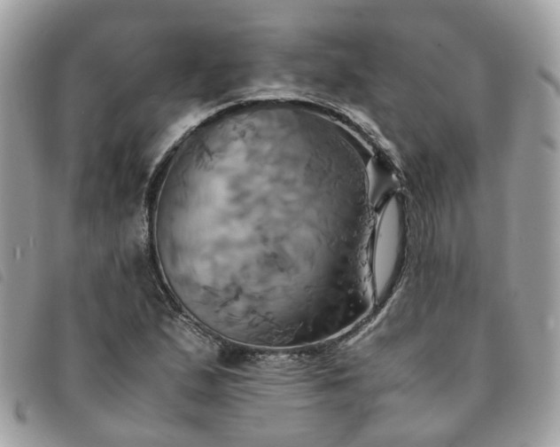 X0000091541167200708171237