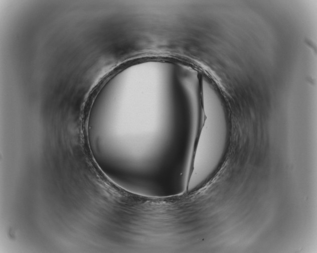 X0000091541168200708171237