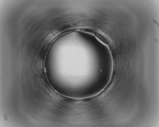 X0000091541169200708171237
