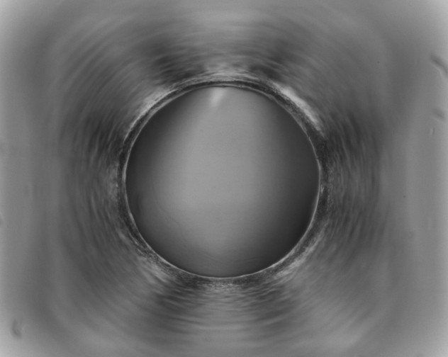 X0000091541170200708171237