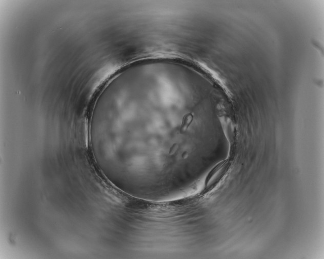 X0000091541171200708171237