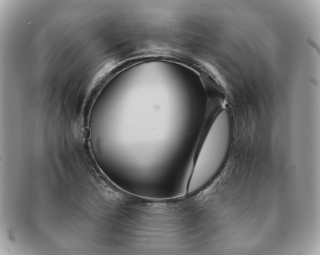 X0000091541172200708171237