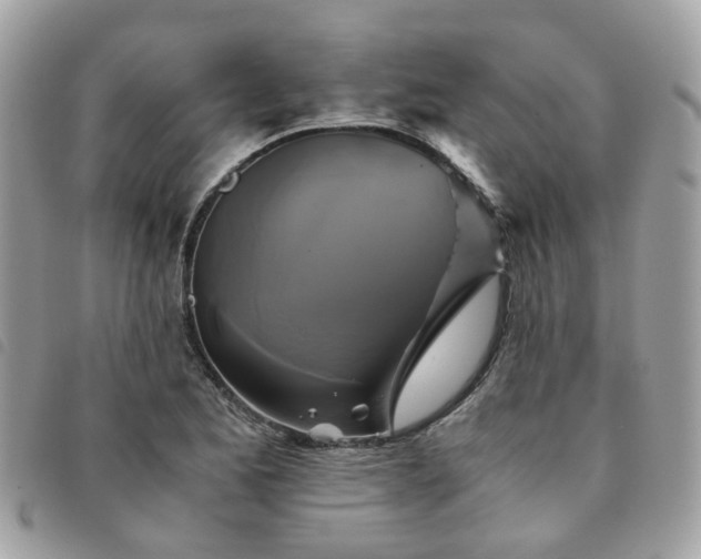 X0000091541173200708171237