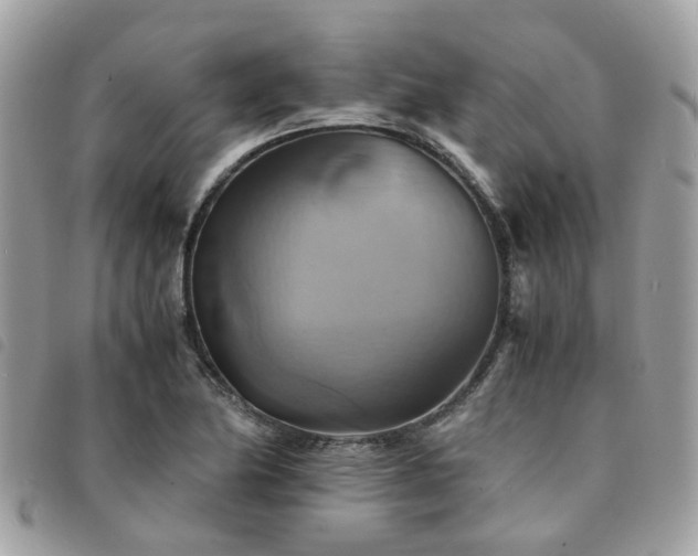 X0000091541174200708171237