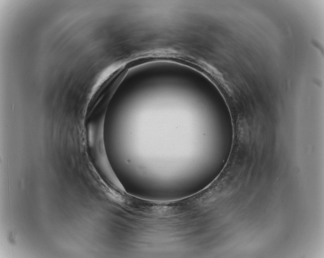 X0000091541176200708171237