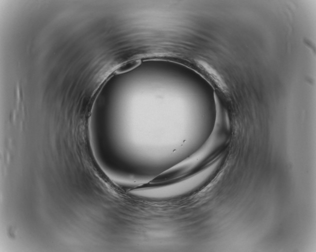 X0000091541177200708171237