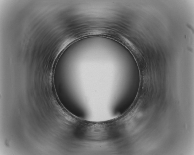 X0000091541178200708171237