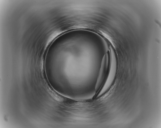 X0000091541179200708171237