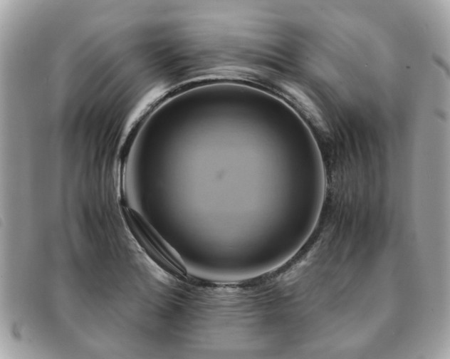 X0000091541180200708171237