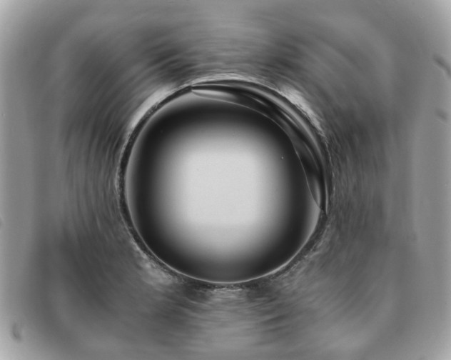 X0000091541181200708171237
