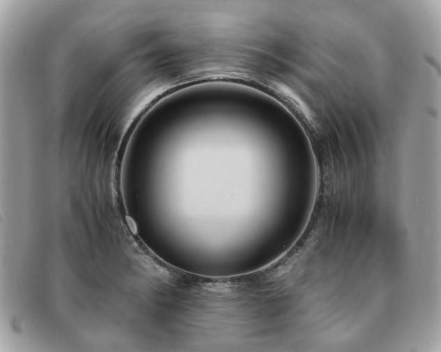 X0000091541182200708171237
