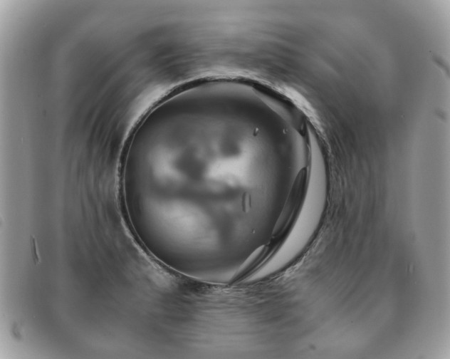 X0000091541183200708171237