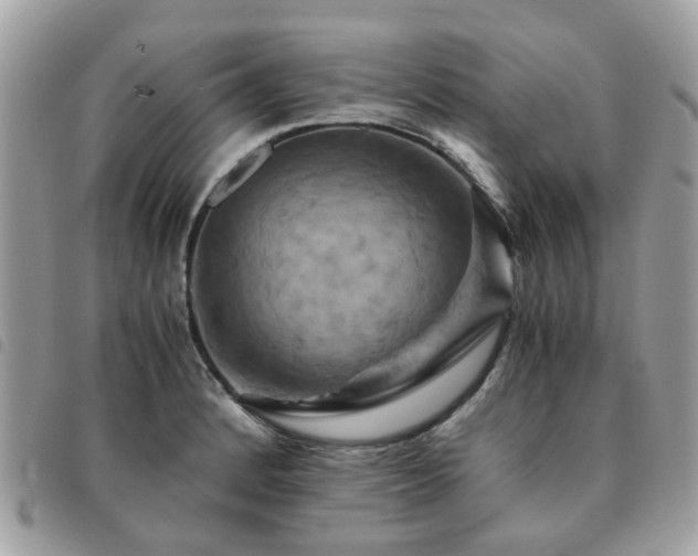 X0000091541184200708171237