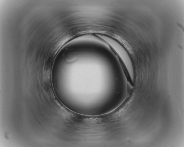 X0000091541185200708171237