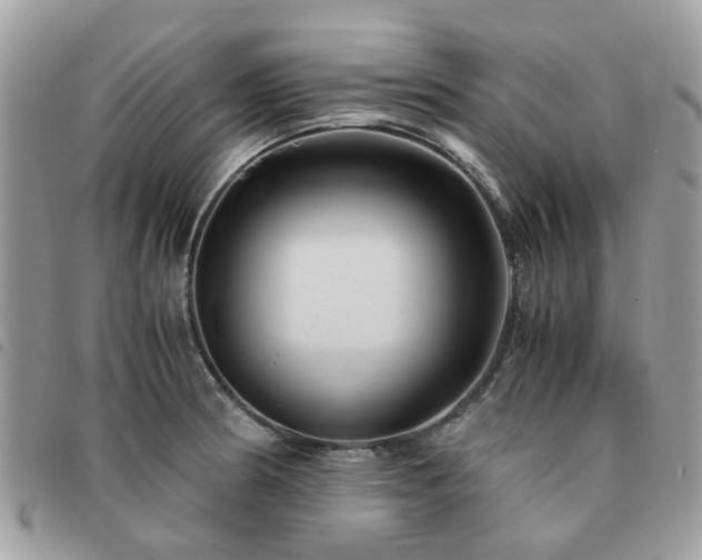 X0000091541186200708171237