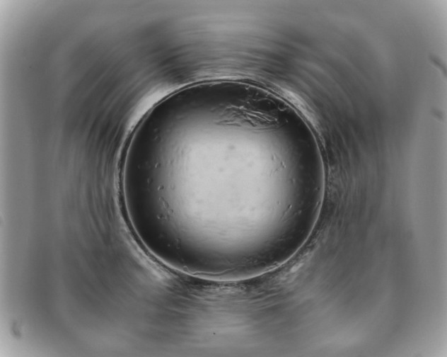 X0000091541187200708171237