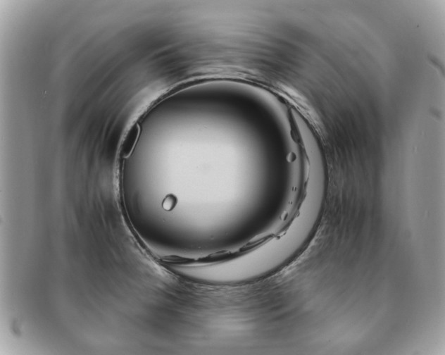 X0000091541188200708171237