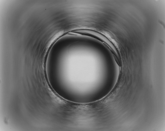 X0000091541189200708171237