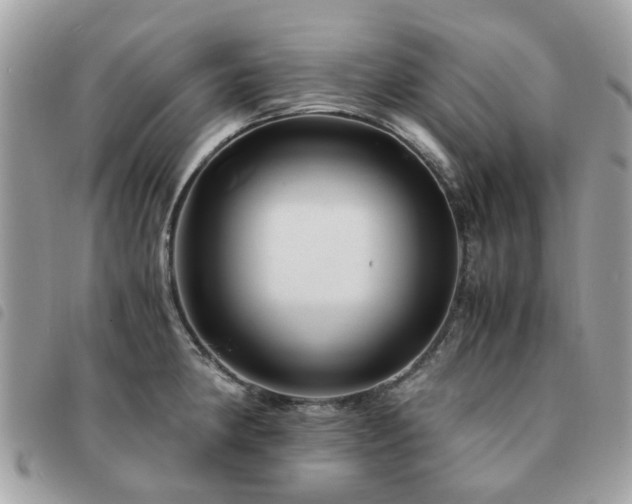X0000091541190200708171237