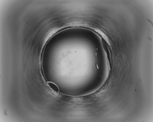 X0000091541191200708171237