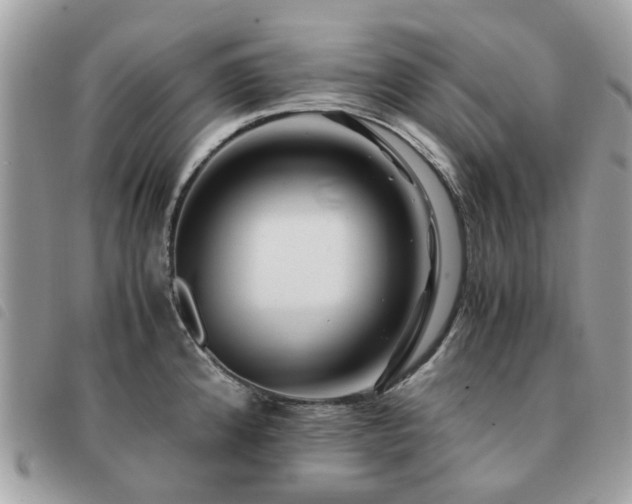 X0000091541192200708171237