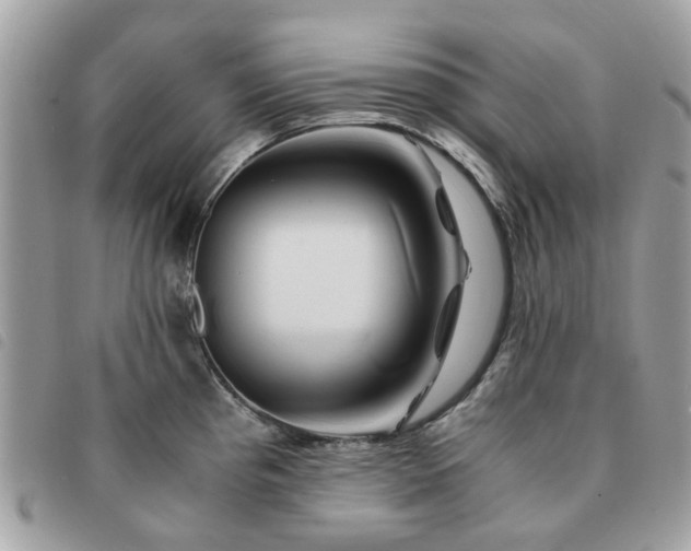 X0000091541193200708171237