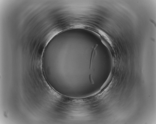 X0000091541194200708171237