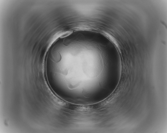 X0000091541195200708171237