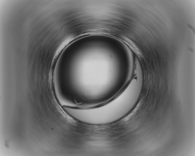 X0000091541196200708171237