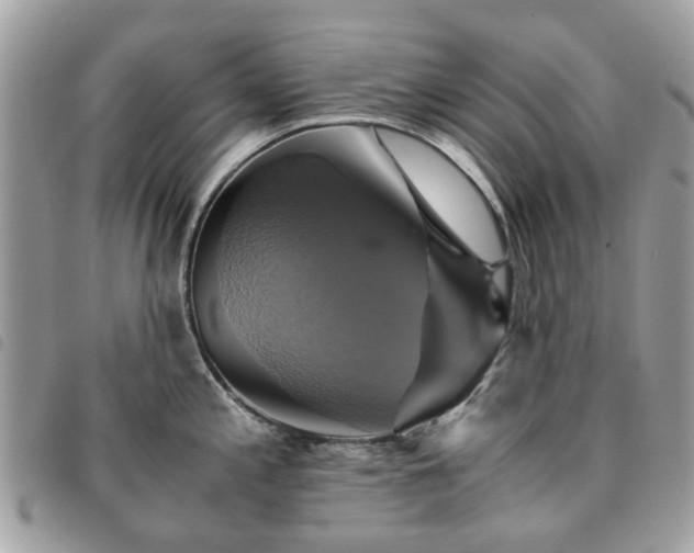 X0000091541197200708171237