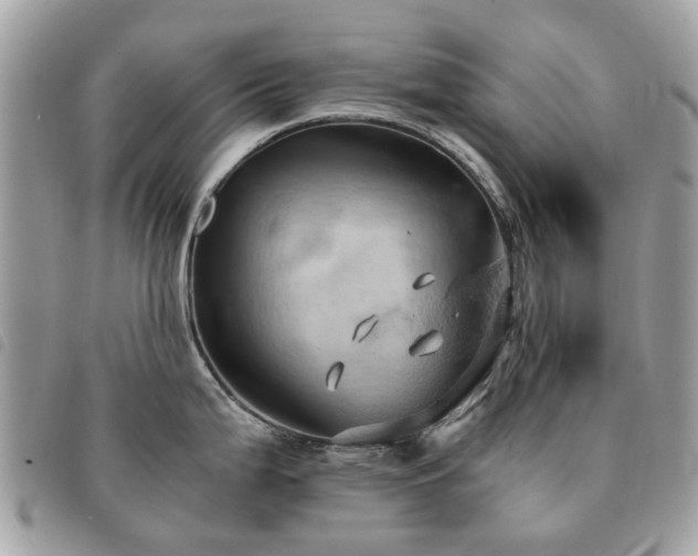 X0000091541199200708171237
