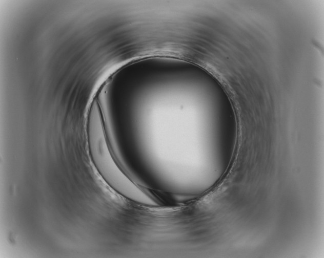 X0000091541200200708171237