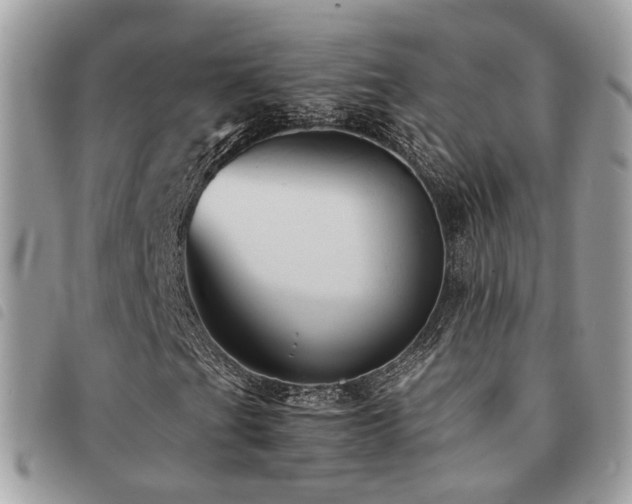 X0000091541201200708171236