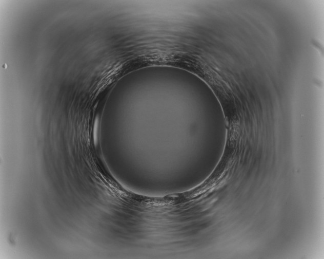X0000091541202200708171236