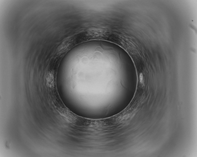 X0000091541203200708171236