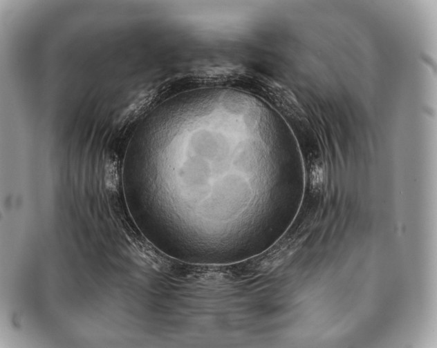 X0000091541204200708171236