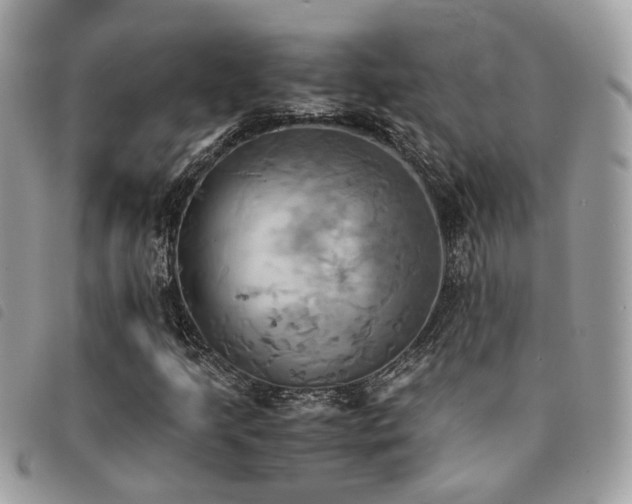 X0000091541205200708171236