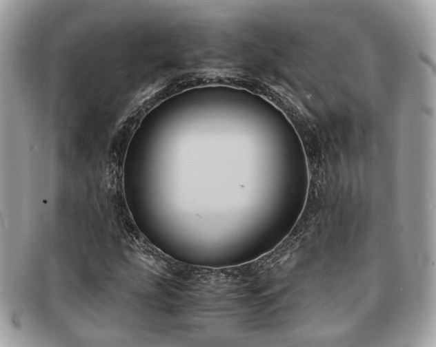 X0000091541207200708171236