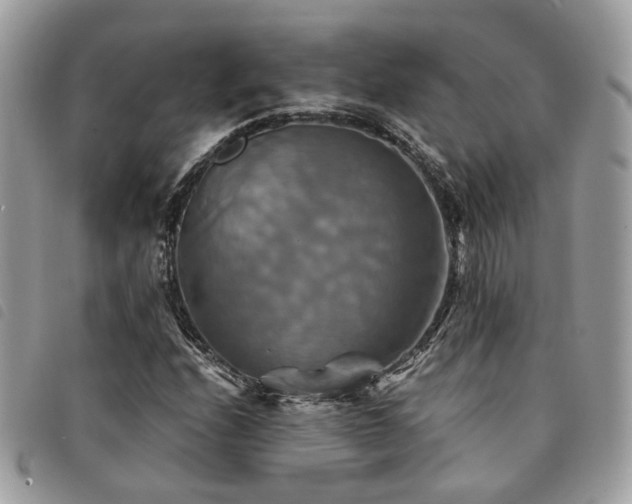 X0000091541208200708171236