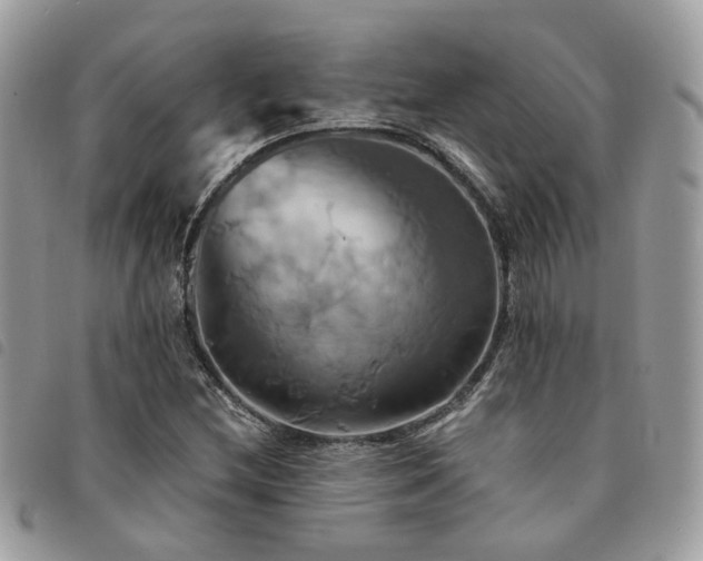 X0000091541212200708171236