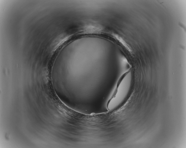 X0000091541213200708171236