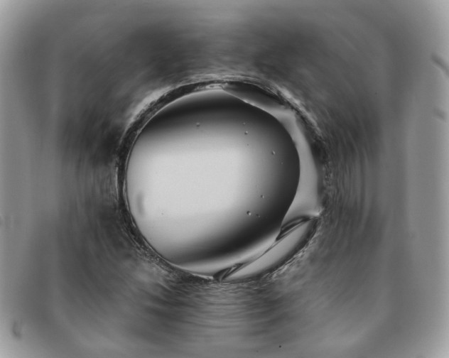 X0000091541214200708171236