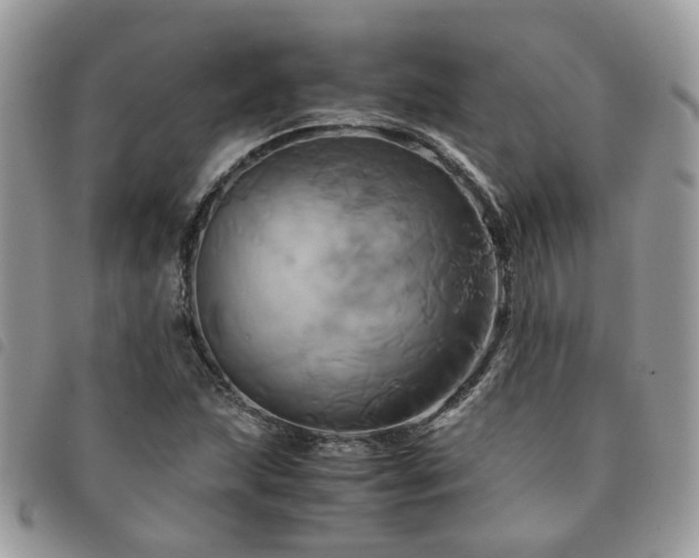 X0000091541215200708171236