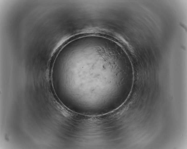 X0000091541216200708171236