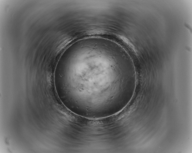X0000091541217200708171236
