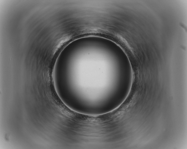 X0000091541218200708171236