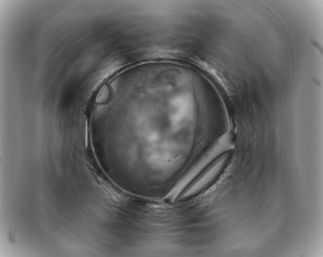 X0000091541219200708171236