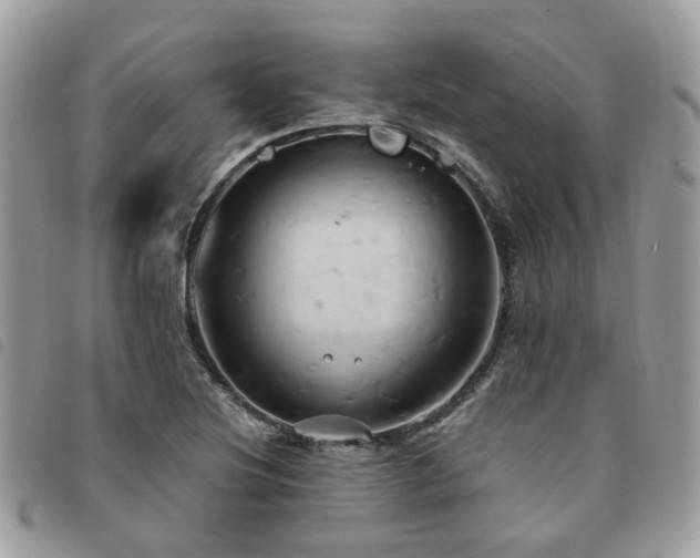 X0000091541220200708171236